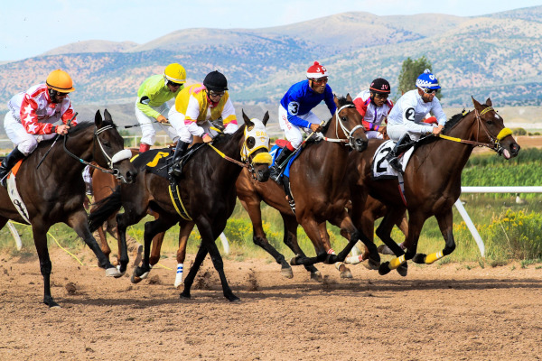 horses-uk-betting-sites